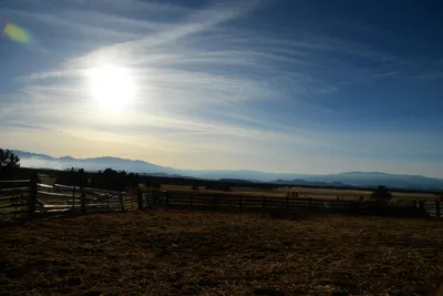 DSC_3014 (Large).JPG